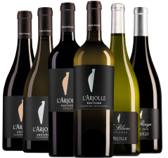 Wijnpakket L'Arjolle (6 flessen)