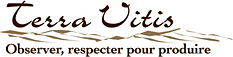 Terra Vitis